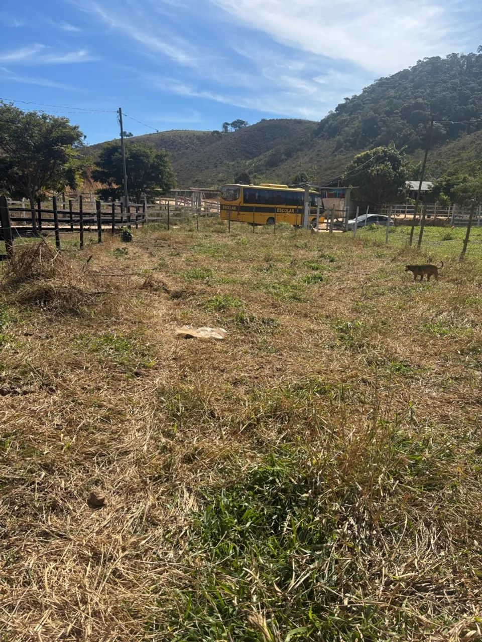 Terreno  - Foto 3