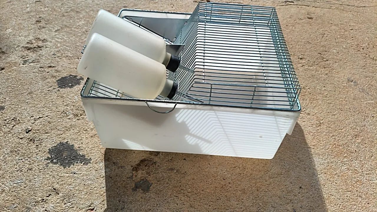 Gaiola biotério  - Foto 2