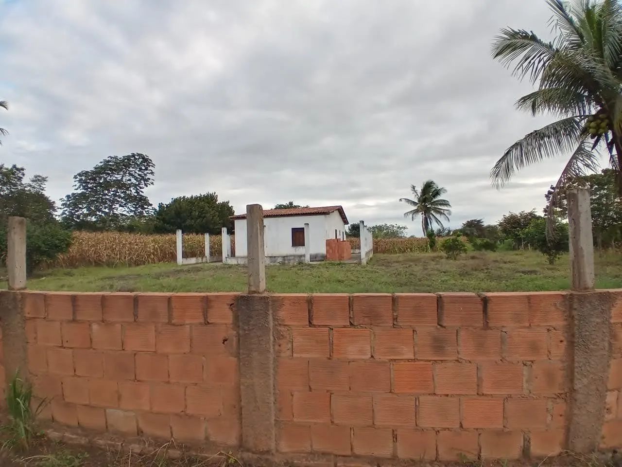 Chacara Deus é amor, povoado Pau Ferro . - Foto 3