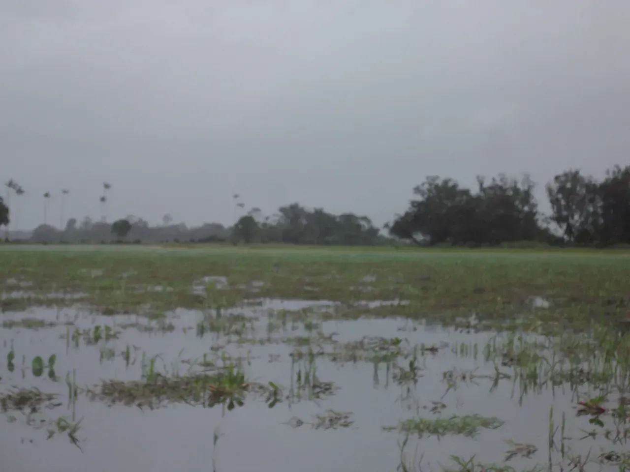 Fazenda a venda no - Pracuúba - AP - Foto 3