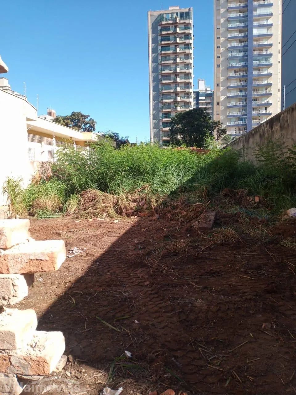 terreno - Vila Itapura - Campinas - Foto 4