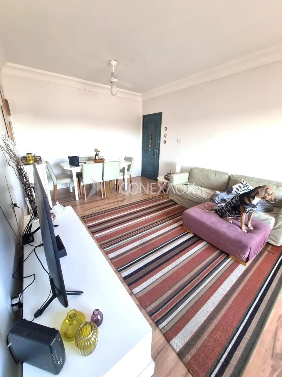 apartamento - Vila Industrial - Campinas - Foto 4