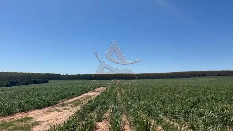 Fazenda - Tambaú - Zona Rural - Foto 4