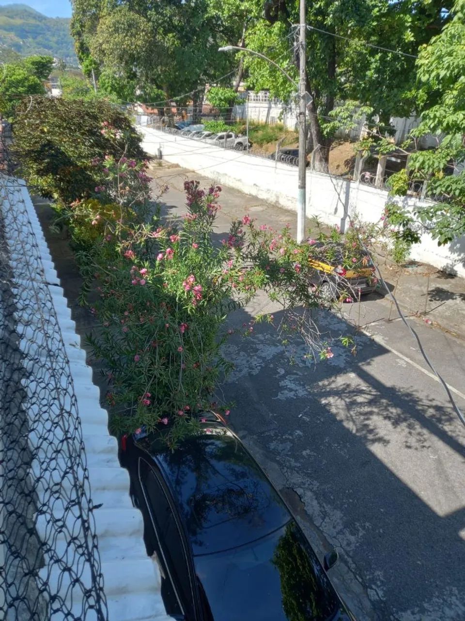 Aluguel temporada carnaval.