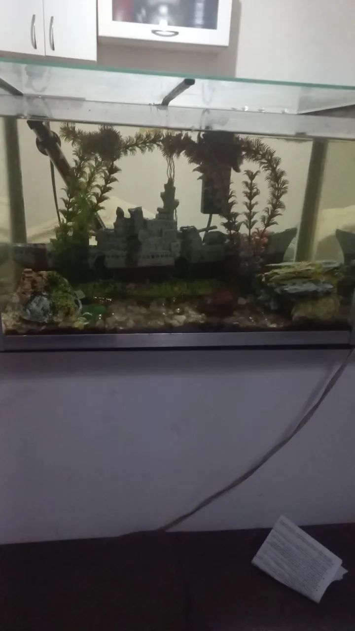 Aquário 