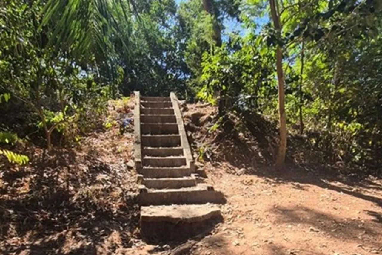 "Chácara dos Sonhos: Natureza e Tranquilidade" - Foto 4
