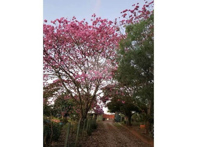 Sítio a venda - Chacaras Ingrid, Taubate - Foto 3