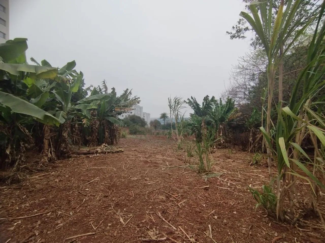 Terreno com 2691.7 m² à Venda no Jardim Alvorada - Maringá - Foto 5