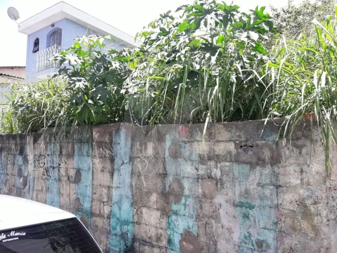 Terreno limpo de 10x25 na Parada Inglesa. - Foto 2