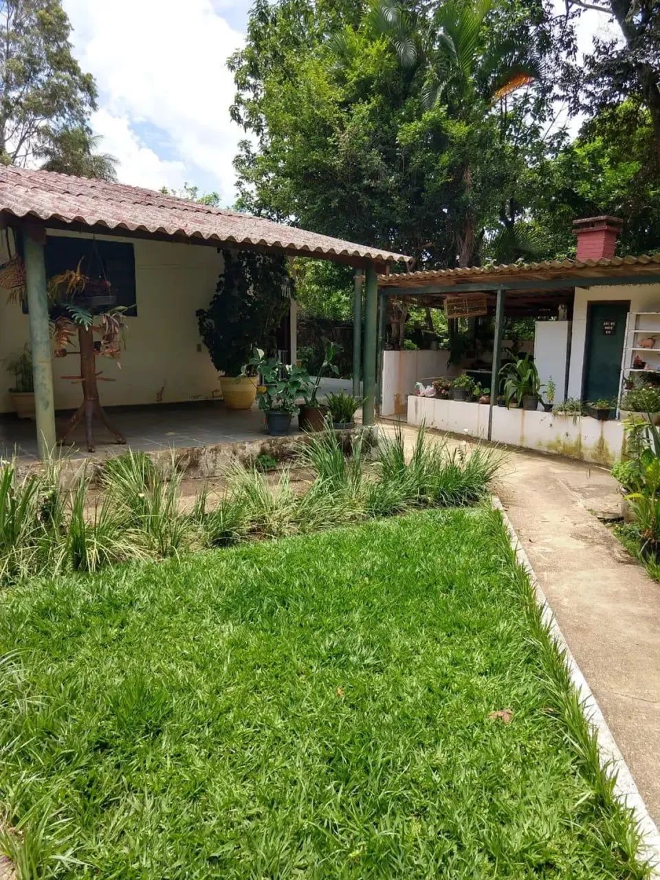 Vendo chácara de 3,7 hectares no café sem troco - Foto 5