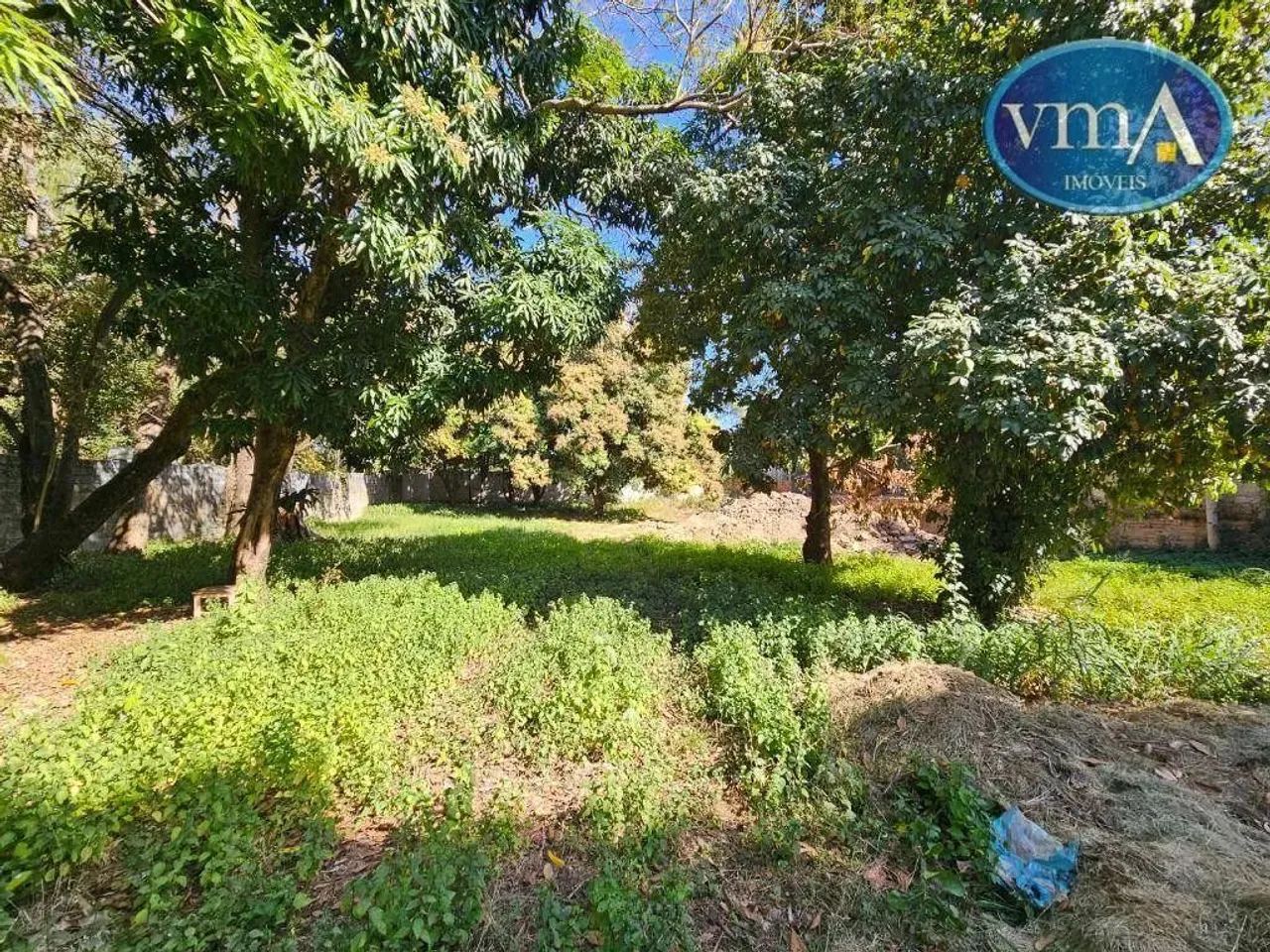 Barracão, 800 m² - Cidade Verde - Cuiabá/MT. - Foto 3