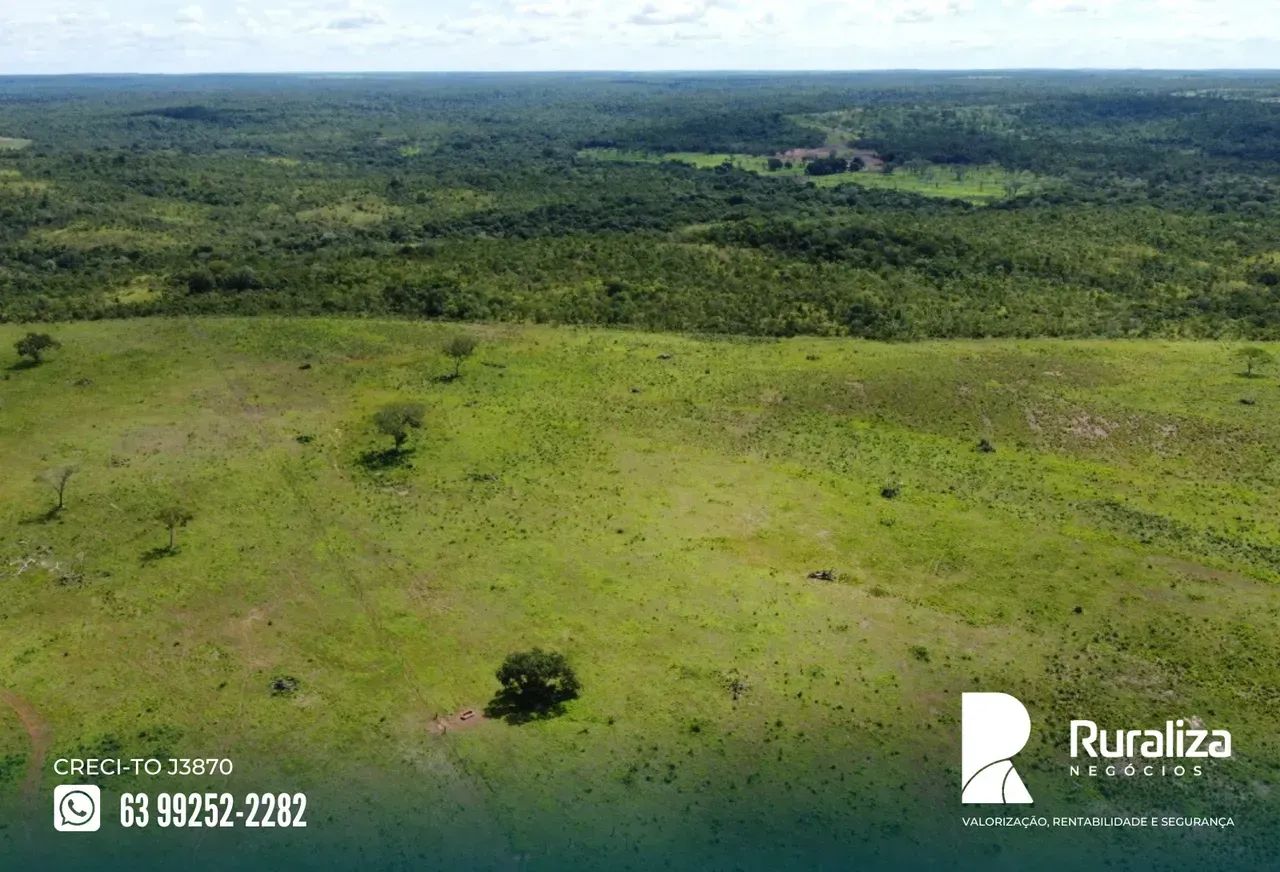 900 RESES/ANO | 320 ALQUEIRES | 850 HA FORMADOS - Foto 4