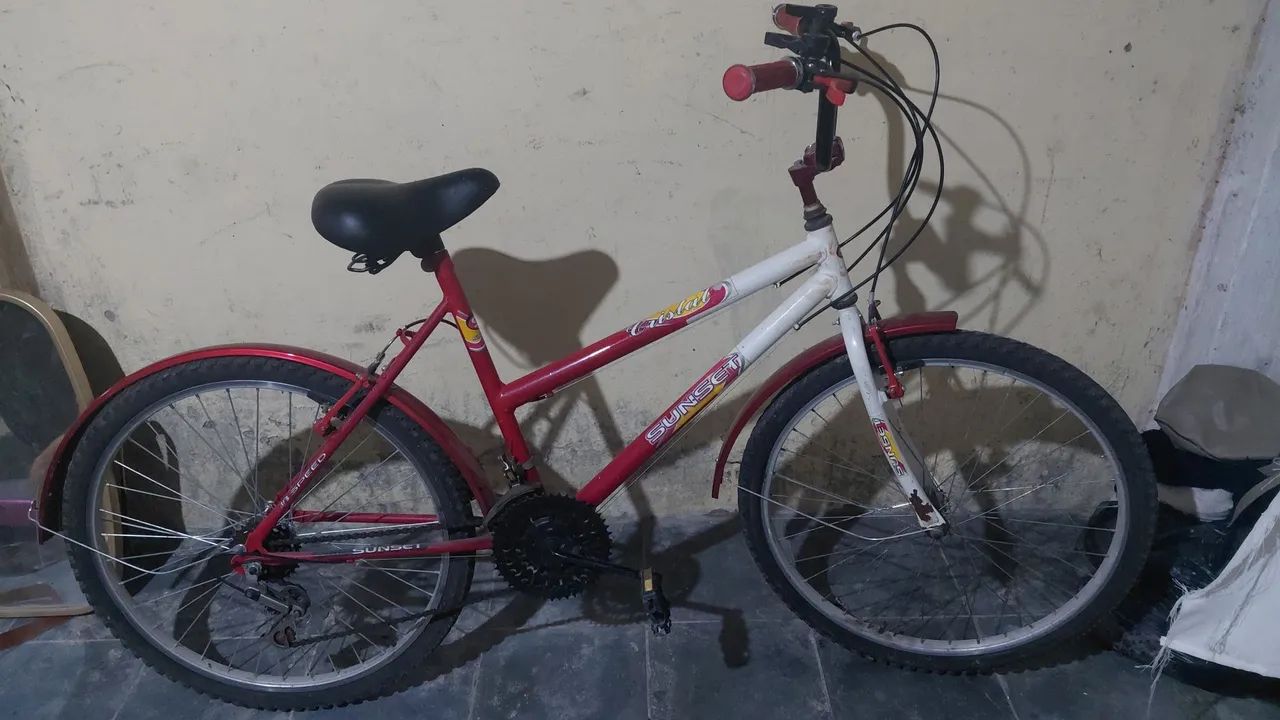 Bicicleta aro 29
