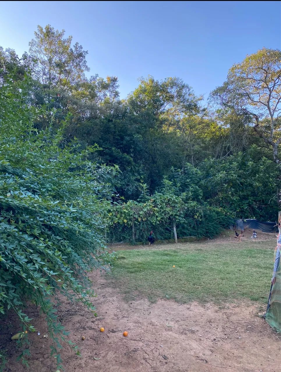 Lote em Campolide  - Foto 4