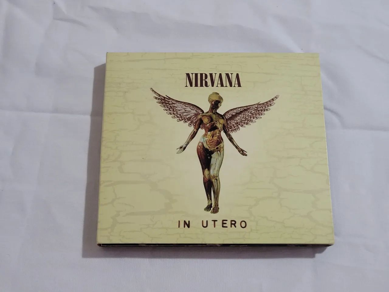 Cd Duplo Nirvana In Utero Comemorativa 22 Anos