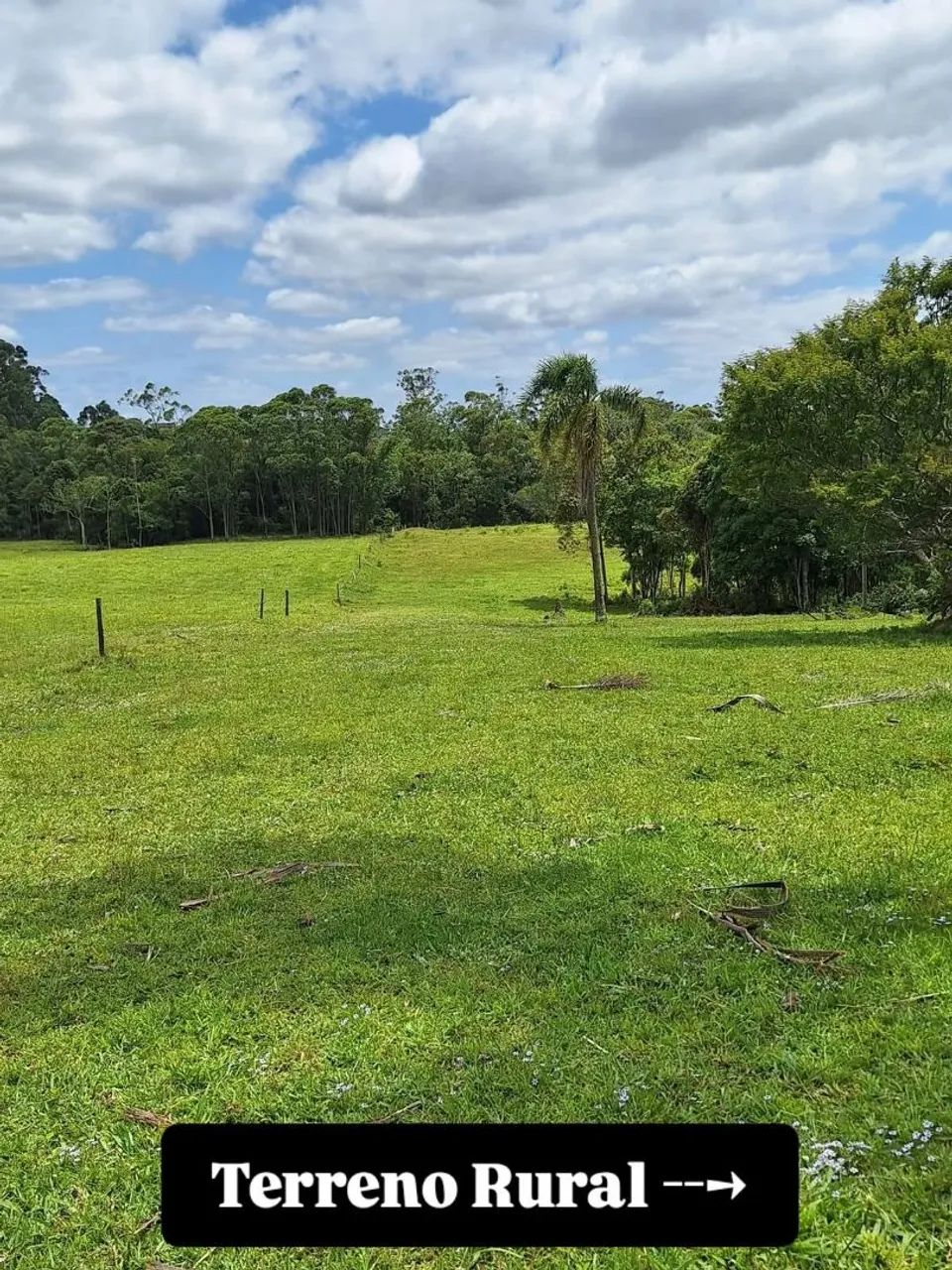 OPORTUNIDADE Terreno Rural com Fácil Acesso à Via Rápida