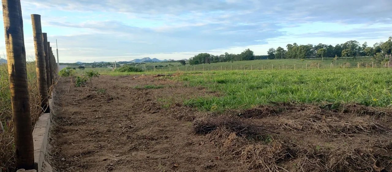 Chácara 4.000 metros em Aracruz  - Foto 3