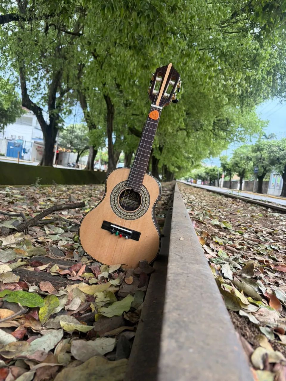 Cavaco de jacarandá  - Foto 2