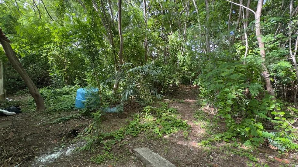 TERRENO para alugar na cidade de FORTALEZA-CE - Foto 5