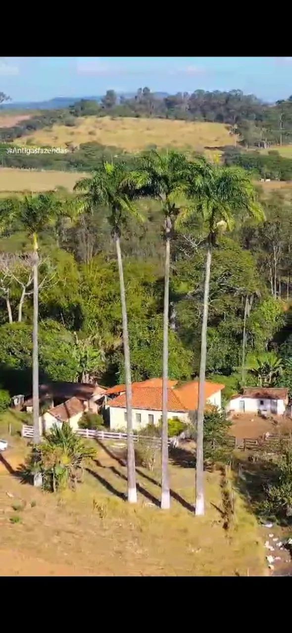 Sitio a venda em Cana Verde