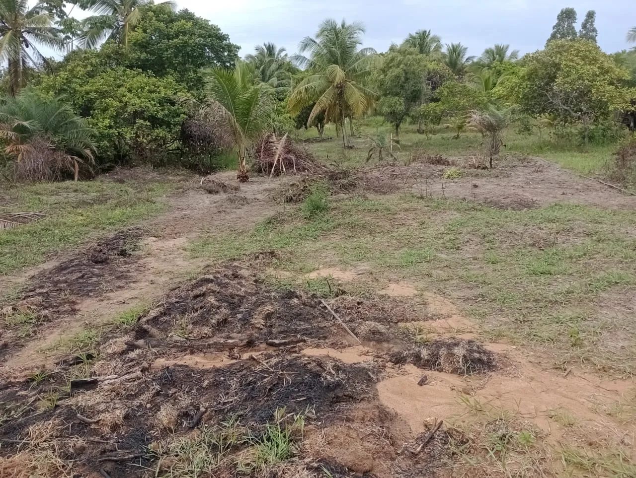 Terreno em porto de Sauipe****