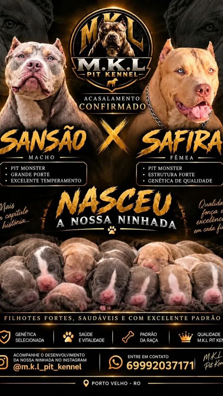 Vende-se Pit Monster - Foto 2