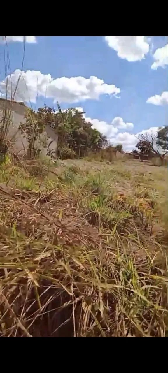 Foto - Goiânia - 