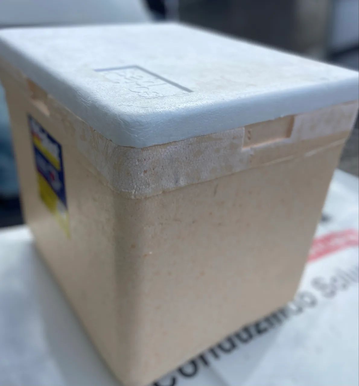 Caixa de Isopor Para BAG - Foto 2