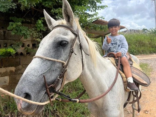 Égua domada para criança 