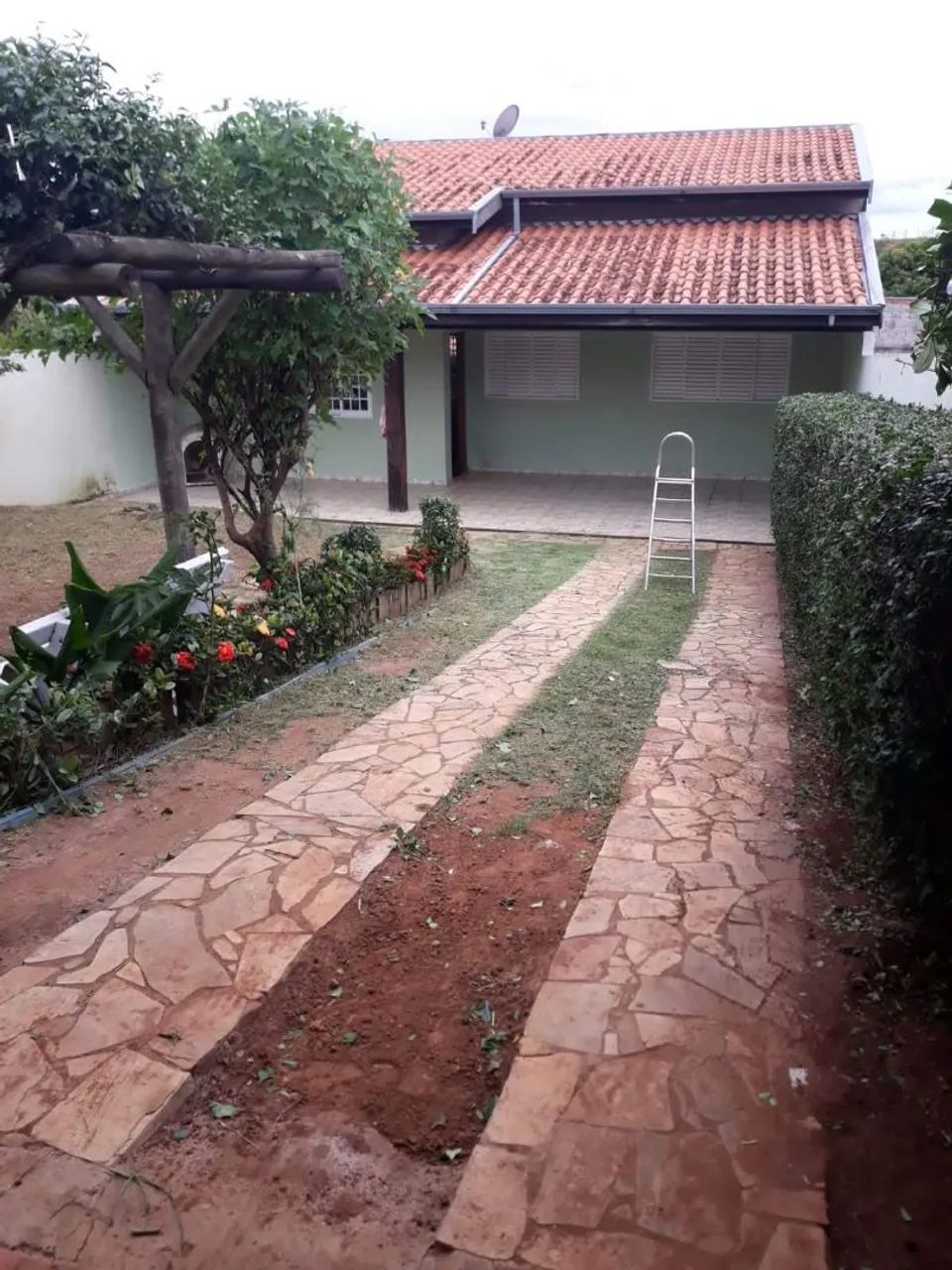 Poda de árvores e jardinagem  - Foto 4