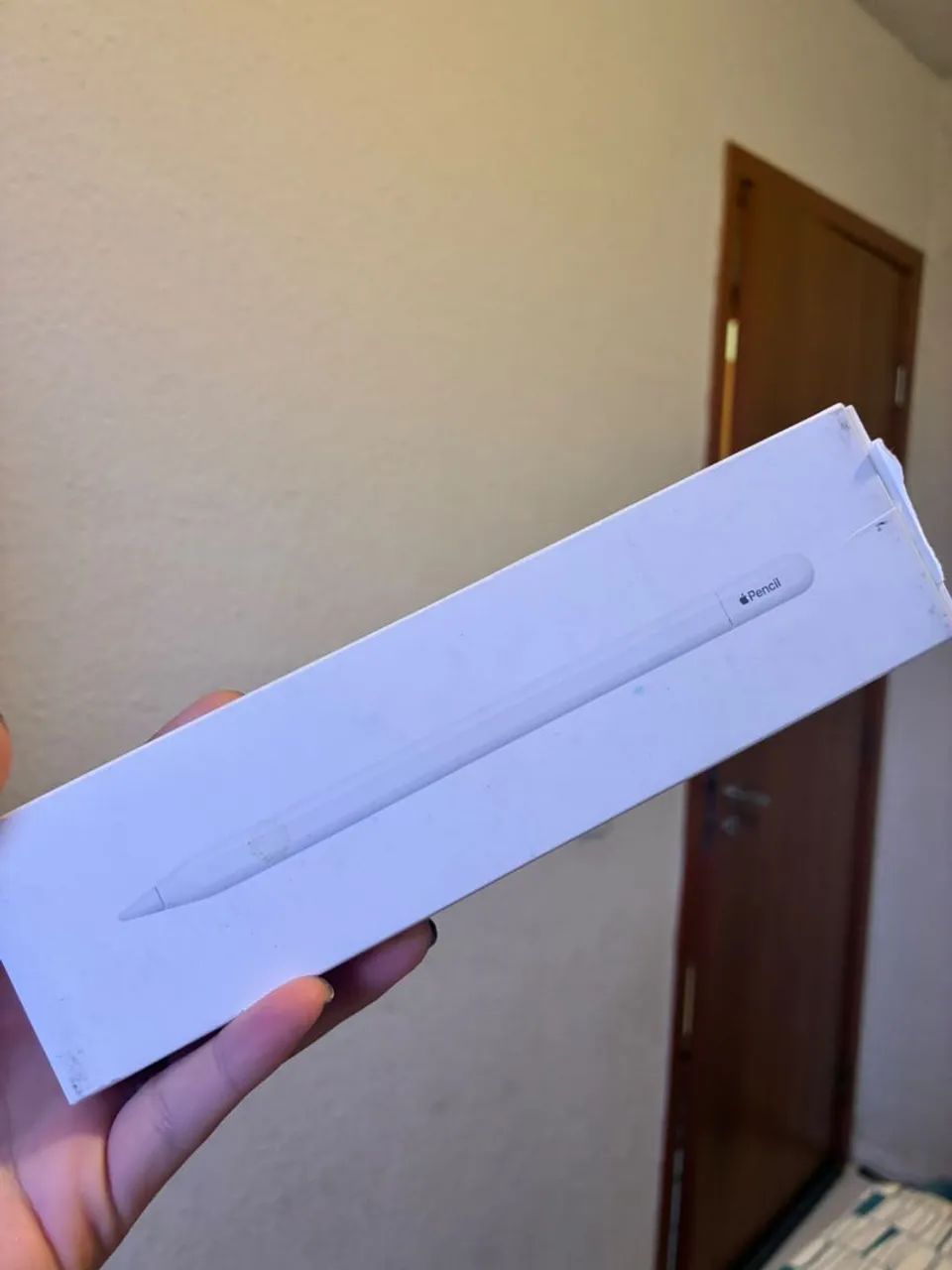 Apple Pencil USB-C Nova
