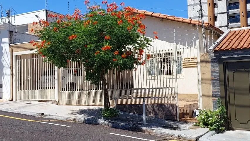 Foto - Franca - Vila Flores
