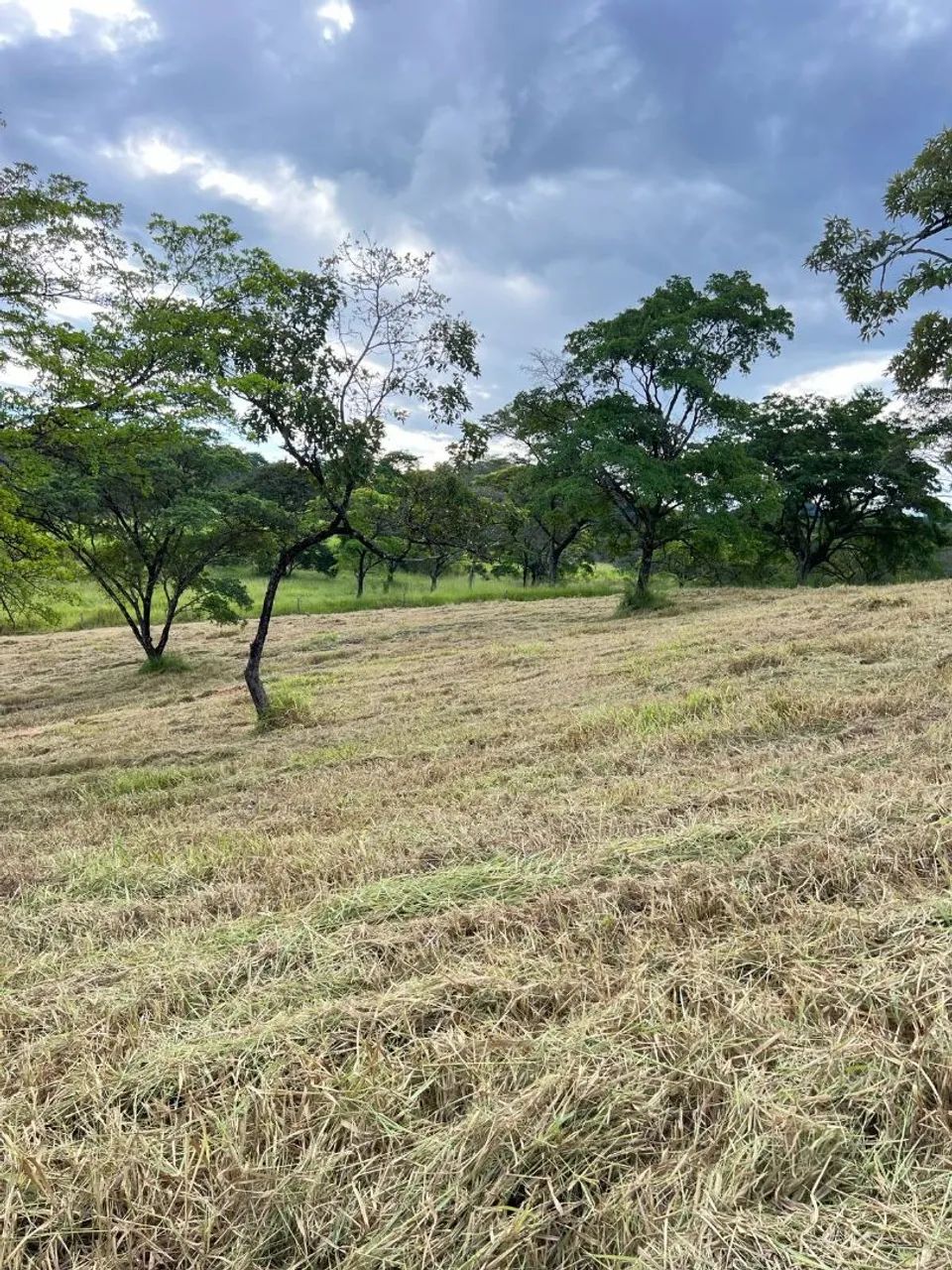 Fazendinhas módulo rural  - Foto 2