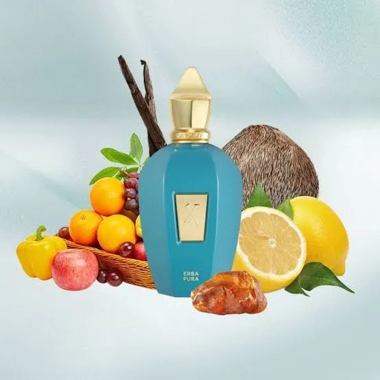 Perfume Xerjoff Erba Pura 100ml 