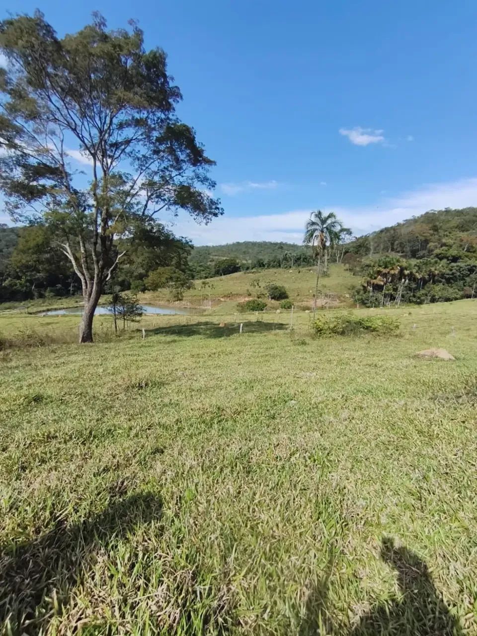 Imóve6 Alqueires Extra, Muito Barato! - Foto 5