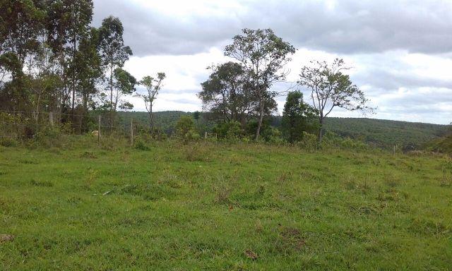 Sorocaba Região 30 Alqueires - Foto 16