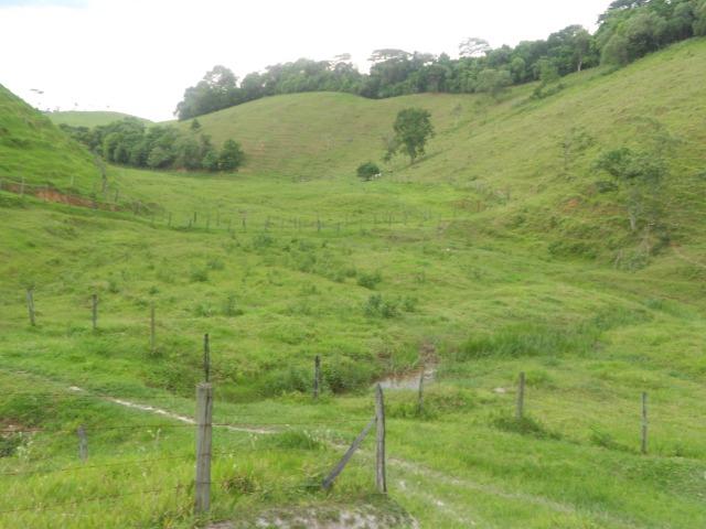 Jordão corretores - Fazenda 22 alqueires Cachoeiras de Macacu porteira fechada - Foto 10
