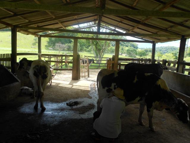 Jordão corretores - Fazenda 22 alqueires Cachoeiras de Macacu porteira fechada - Foto 7