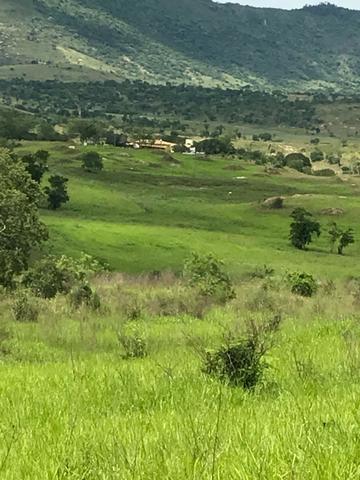 Fazenda de Gado linda de 882ha em Itapetinga Clima e solos Oportunidade - Foto 18