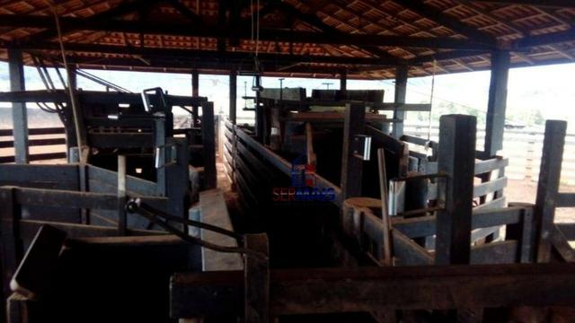 Belissima Fazenda Rural Espigão do oeste/RO - Foto 5