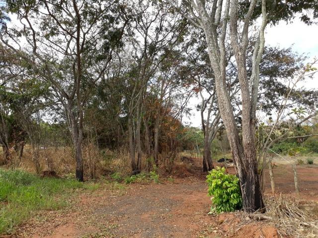 Vendo sitio 2 hectares (20.000 m2) - Foto 2