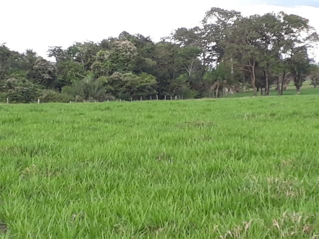 Fazenda Terra de cultura Há 10 km de Arenapolis Mato Grasso - Foto 6