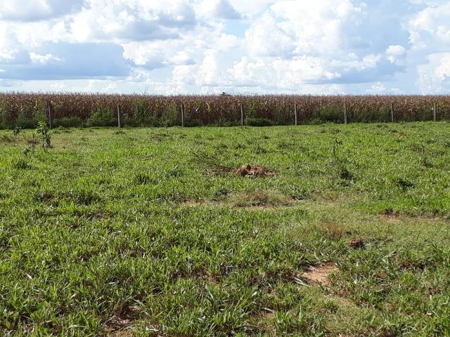 Fazenda Terra de cultura Há 10 km de Arenapolis Mato Grasso - Foto 15