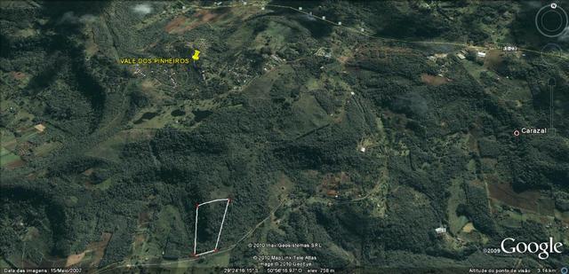 Sítio com 3 hectares - Foto 2