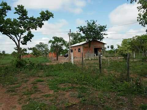 Vendo Lotes Rural 20x40 (800 mtrs2) - Foto 2