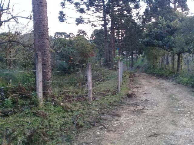 Chácara no Campestre com linda vista para a serra do mar - Foto 5