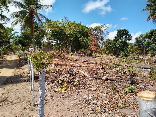Lotes/Terrenos - Fragoso- Olinda - Foto 15