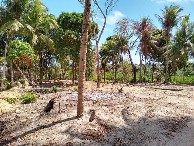 Lotes/Terrenos - Fragoso- Olinda - Foto 19