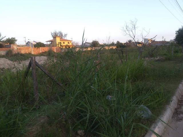 Lote pertinho da Avenida 2 e Estrada dos Cajueiros - Foto 3