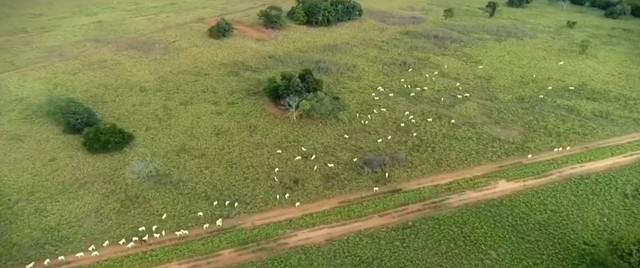 2.888 Alqueires em Cocalinho Mt  - Foto 5